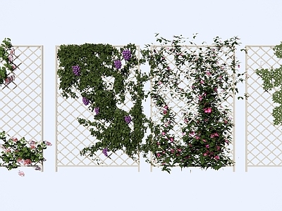 现代藤蔓植物 攀爬 花架 爬虎 葡萄藤 月季花 凌霄花 墙