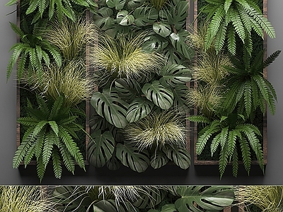 绿植墙 植物墙