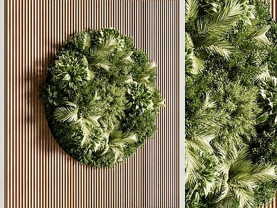 现代植物墙