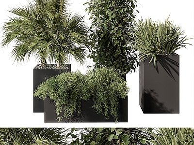 植物花箱