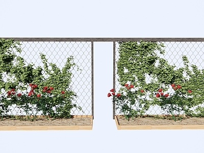 爬藤植物 爬山虎 绿植铁丝网 玫瑰花 绿植墙
