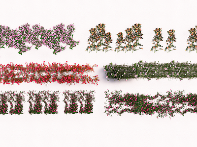 藤本植物 藤蔓植物 攀爬花墙 花草 绿植墙