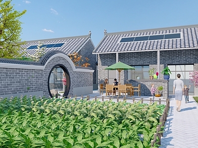 新中式乡村庭院 民宿 乡村