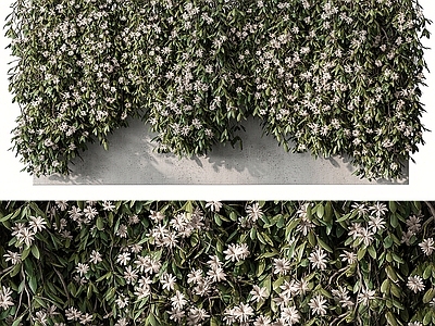 现代植物墙