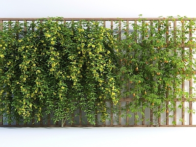 绿植墙