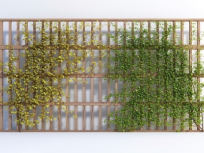 绿植墙