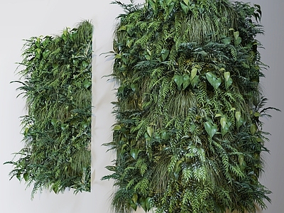 绿植背景墙 植物墙