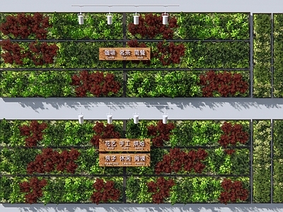 绿植墙 垂直绿化墙 植物景观花槽 绿化装饰墙 背景墙 藤蔓藤本 花架 绿植墙