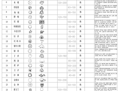 现代简约园林景观植物图库