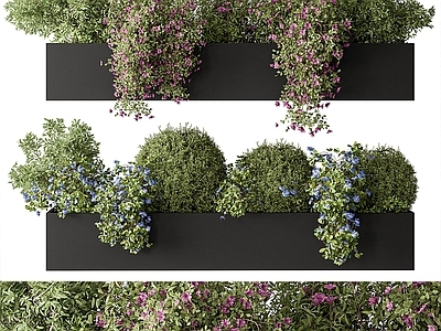 植物花箱