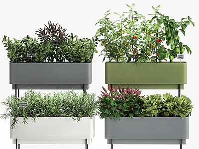 绿植花箱