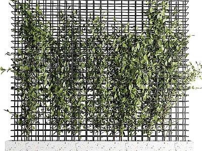 藤蔓铁丝网 围栏植物绿植 绿植墙 藤蔓绿植墙 绿植墙