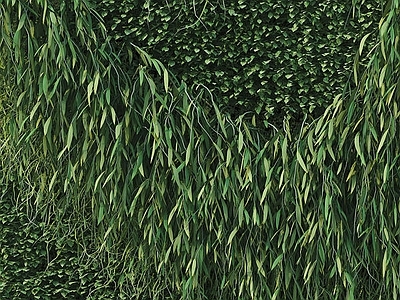 绿色植物造型墙面