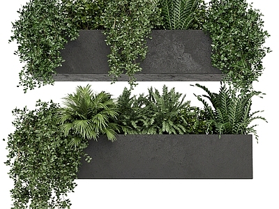 植物堆