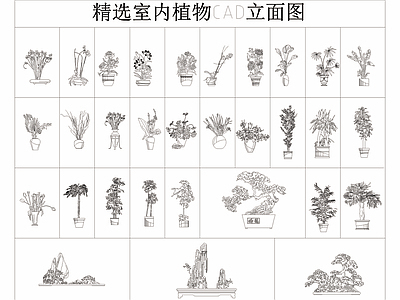 31个精选室内植物CAD立面图 施工图