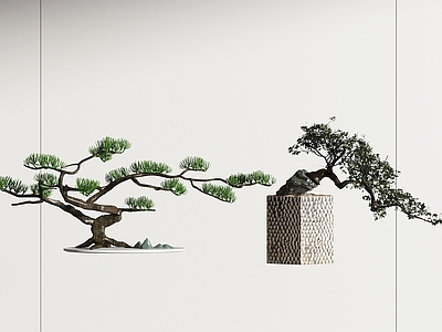 盆栽盆景 室内盆栽 绿植盆栽  桌面
