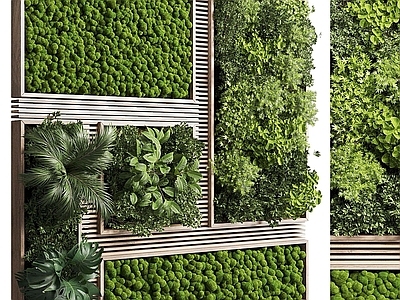 绿植墙