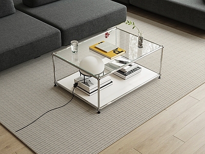 FENDI现代玻璃茶几 方形 书籍 台灯 植物盆景 长方形 品牌 玻璃茶几 方形茶几