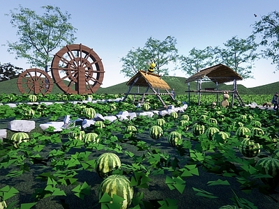 中式瓜果菜园景观 西瓜种植 乡村瓜果园 水果采摘园 庭院休闲景观