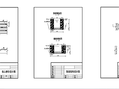 水土保持项目典型单体工程结构布置CAD图纸