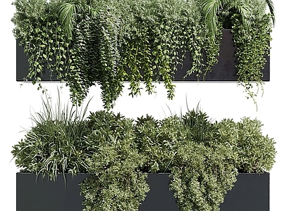 植物花箱