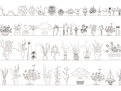 cad植物平立面大全 施工图