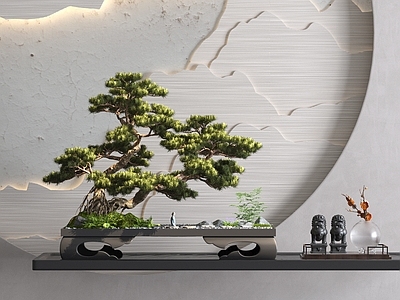 松树盆景 桌面