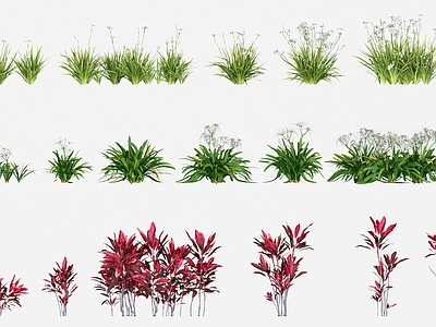 花草组合