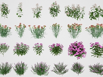 花草组合