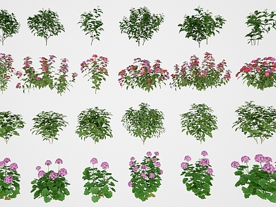 花草组合