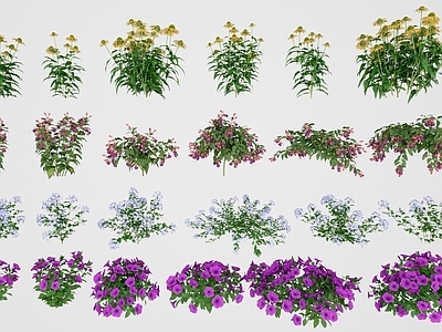 花草组合