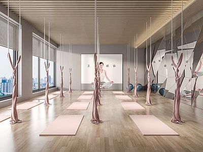 现代瑜伽室 瑜伽垫 瑜伽球