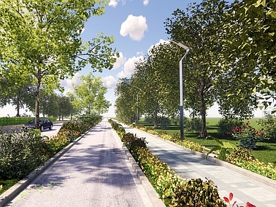 现代城市道路 道路景观 行道树 绿化带 隔离带 植物组合 绿篱 灌木