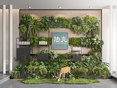 绿植墙