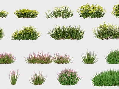 花草组合