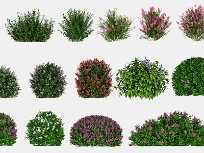 花草组合
