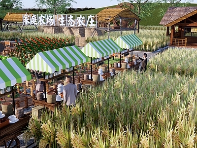 现代共享农场景观 乡村集市 稻田景观 家庭农场 田园野餐 乡村菜地