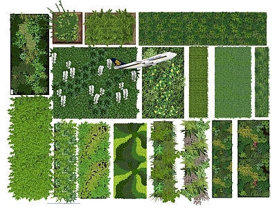 绿植墙 植物景墙 景观绿篱 绿植屏风隔断 垂直绿化背景墙 外立面设计 绿植墙