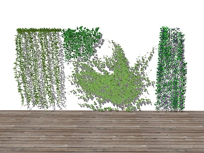 藤蔓植物墙 墙体绿植 爬藤景观植物组合 绿植墙