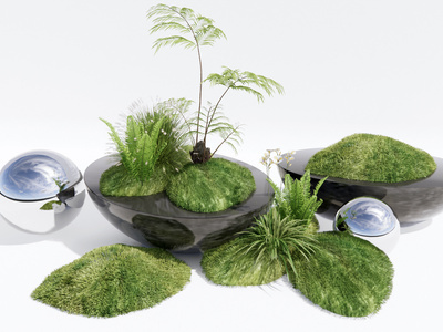 苔藓