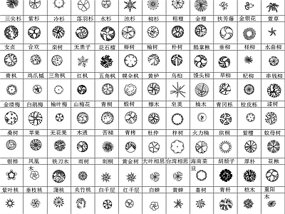 350个景观常用植物图例 施工图