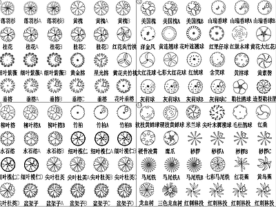 南方亚热带及热带植物平面图例 棕榈 乔木 灌木 施工图