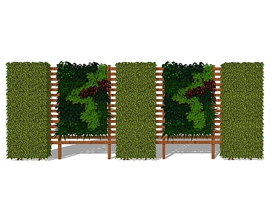 垂直绿化植物墙 墙体绿植 景观植物组合 绿植墙