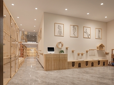 现代猫咖店 宠物店