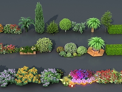现代花草组合