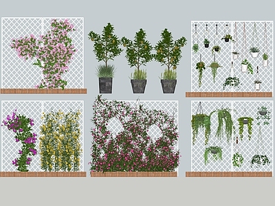 花架 花篮 生态瓶 墙挂 蔓藤 柠檬树 乔木 三角梅 花架