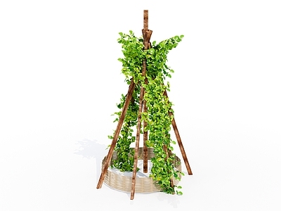 藤蔓植物爬架 绿植架