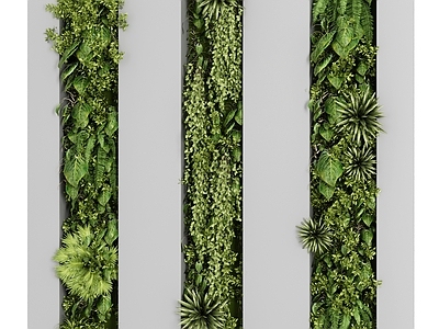 绿植墙 植物墙