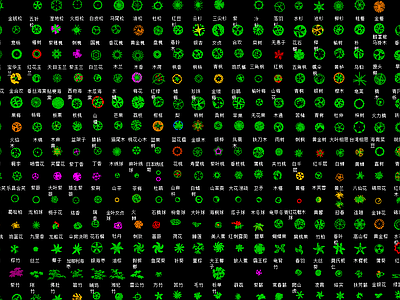园林树图块 施工图