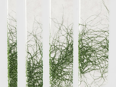 植物墙 绿植墙